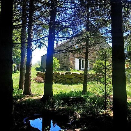 La Ferme Du Crie Bed and Breakfast Chaudeyrolles Εξωτερικό φωτογραφία